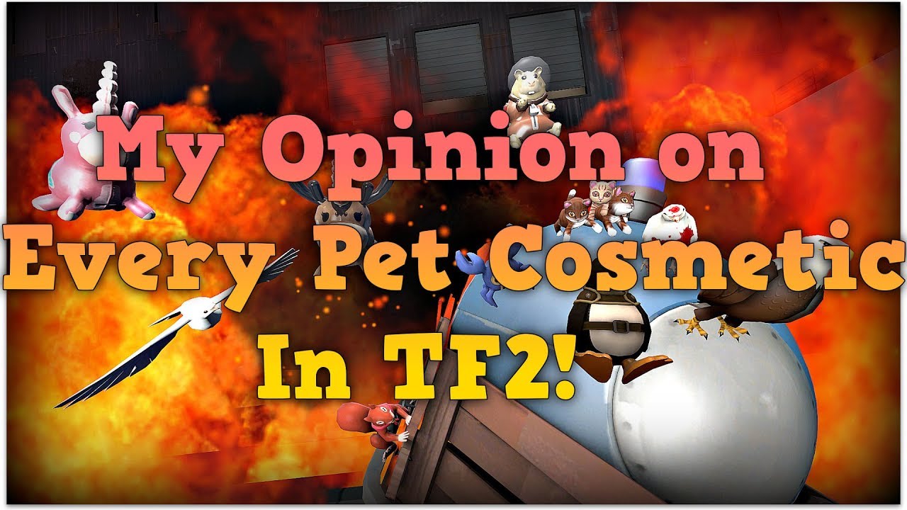 TF2 - My Opinion on EVERY Pet Cosmetic in under 2 Minutes!