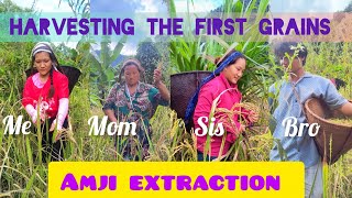 Amji Extraction || New Paddy 4 Thanksgiving Party,Culture Of Nishi Tribe || Shifting 2 New House ||