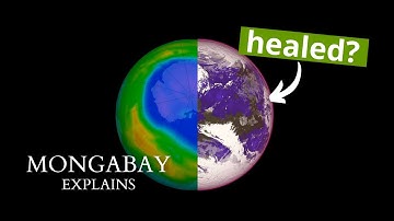 Did the world fix the hole in the ozone layer? | Mongabay explains