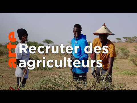 Sénégal : la téléréalité au service de l’agriculture | ARTE Reportage