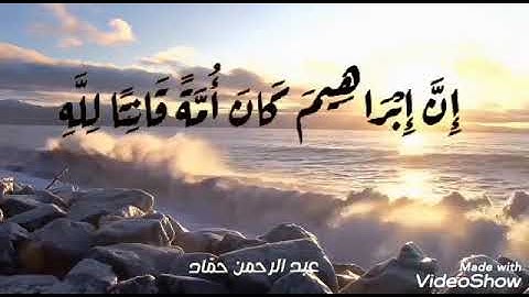 أواخر سورة النحل| عبد الرحمن حمّاد