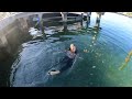 Swimming Underwater Clothed | At A Dock and Beach| Ocean Adventure