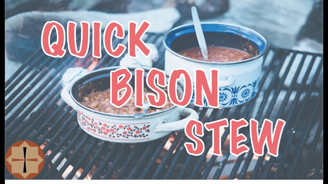 Quick Bison Stew