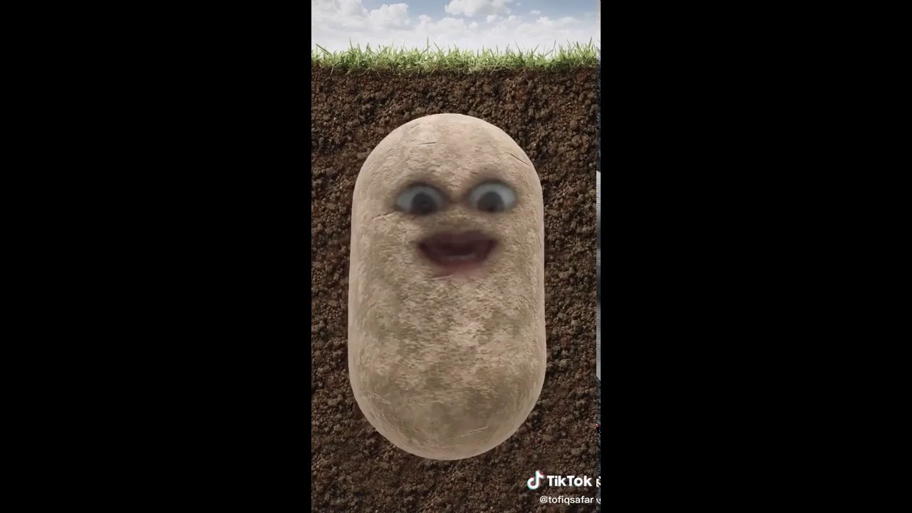 Korana virusun var yoxuna nehled