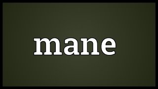 Mane Meaning