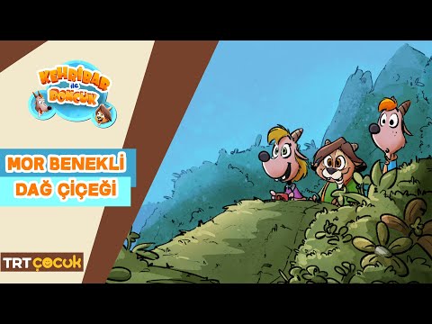 Kehribar ile Boncuk | Mor Benekli Dağ Çiçeği