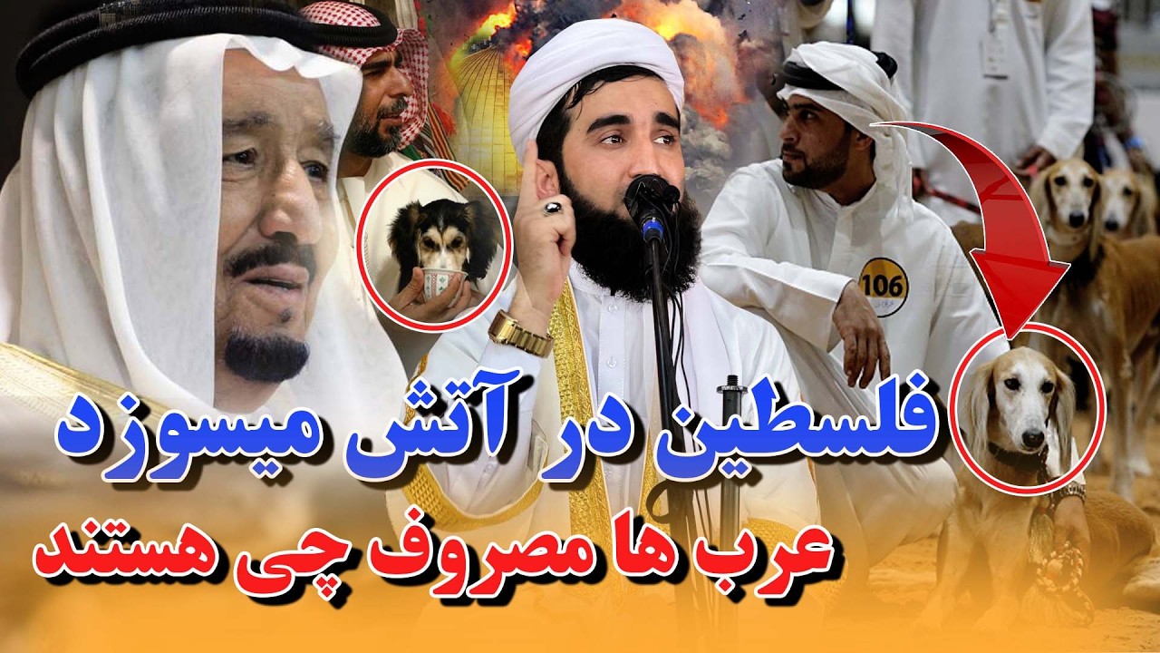 فلسطین در آتش میسوزد/Mufti Ahmad Fairuz Ahmadi