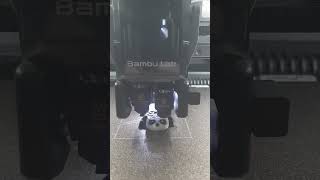 Bambu Lab H2D 3D Printer Panda Esun Plahs