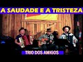 A SAUDADE E A TRISTEZA-TRIO DOS AMIGOS