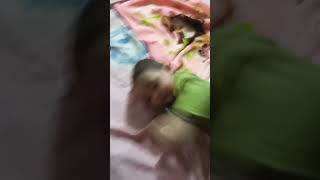 babu😘😘 #babu #babyshorts #bababoy #baby #bababoy #babyshorts #shots