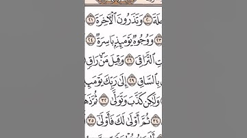 آيات من سورة القيامة ٢ بصوت الشيخ ياسر الدوسري❤️💝💕💖