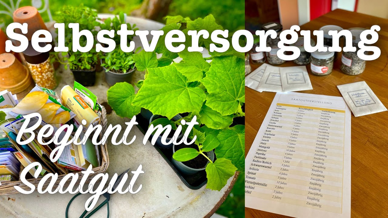 #56 Eigenes Saatgut herstellen Nachhaltig und einfach