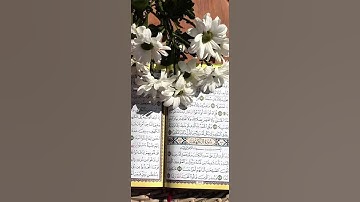 #ارح_قلبك #المصحف #quranic #خشوع #تلاوة_خاشعة #قران_كريم #قرآن #قرآن_كريم #quran #صوت_جميل #تلاوات