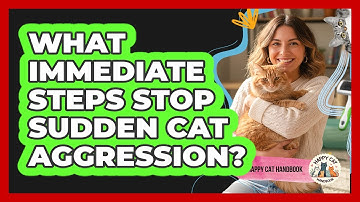 What Immediate Steps Stop Sudden Cat Aggression?
