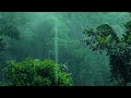 Relax on the mountaintop, Rain on Jungle Leaves 🌧️ Soothing Nature Sounds for Sleeping, Healing