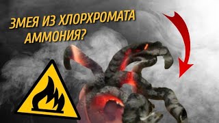 Эксперимент ФАРАОНОВА ЗМЕЯ