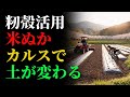 【今のうちに済ませておく】サツマイモ畑の土づくり｜籾殻・カルス・米ぬかを活用 | ガーデニング | 栽培 | 植物 | 雑草対策ガーデニング | 栽培 | 植物 | 雑草対策