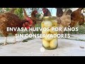 Como Conservar HUEVOS Por Años Paso A Paso/ Envasado De Huevo 🐓🥚