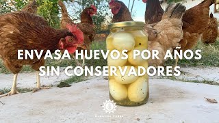 Como Conservar HUEVOS Por Años Paso A Paso/ Envasado De Huevo