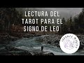 Lectura del tarot para el signo de Leo ♌ para el mes de Mayo de 2023. #lecturadetarot #leotarot