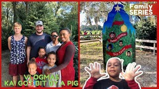 Vlogmas Day 5: KAI GOT BIT BY A PIG We bought our CHRISTMAS TREE SHOPPING by This Big House 6,182 views 4 years ago 4 minutes, 48 seconds