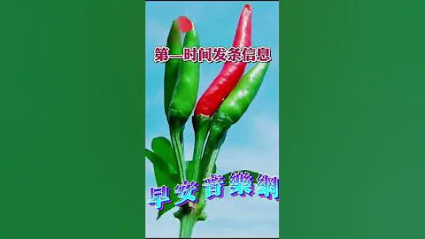 早上好 - 天天要闻