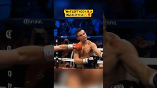 LEFT HOOK KNOCKOUT  DANNY GARCIA