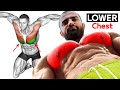 How to Build Lower Chest Fast ( 8 Effective exercises)