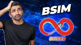 I Tried Ghidra's BSim Feature
