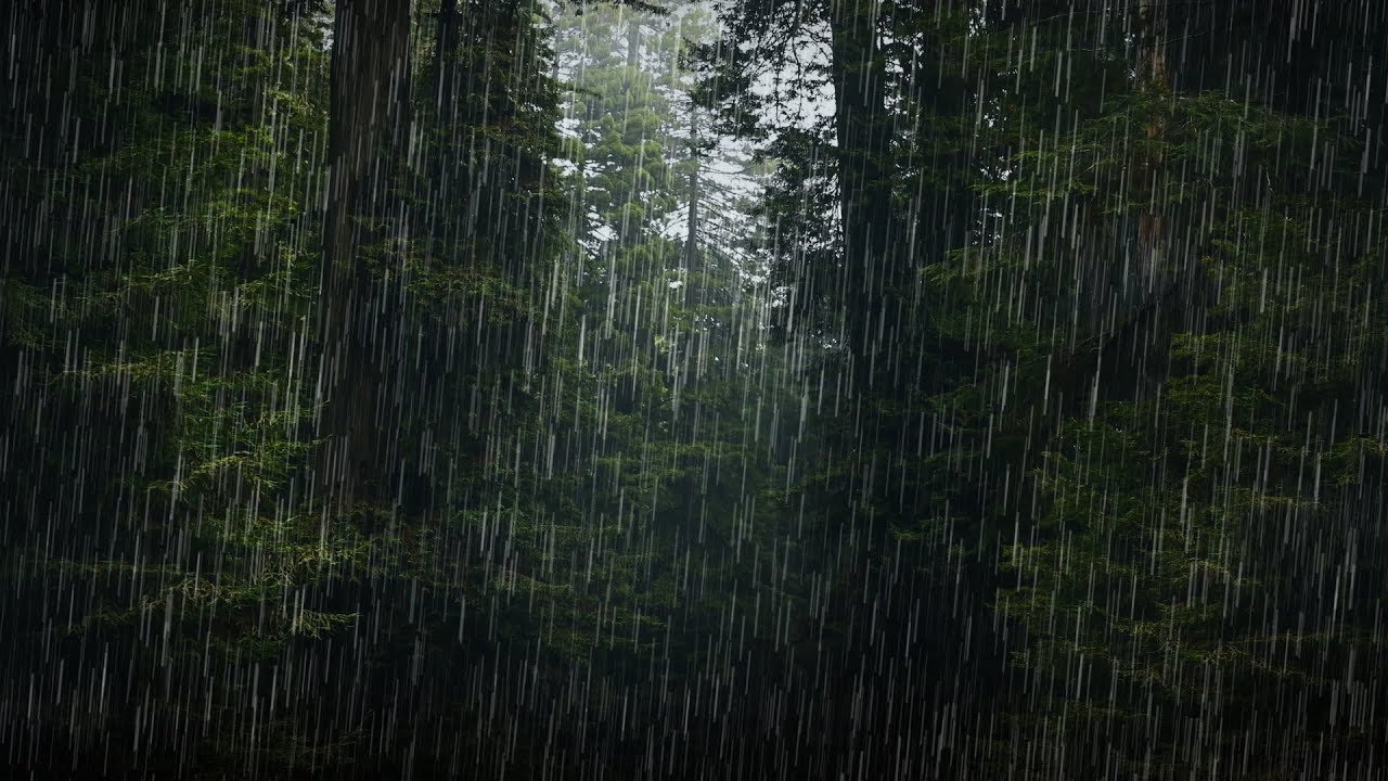 Heavy Rain Sounds for Sleeping & Relaxing
