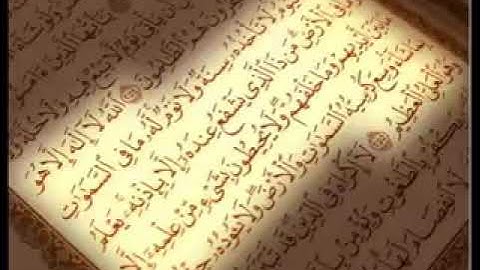 سورة المائدة كامله الشيخ محمد ايوب بدون اعلانات