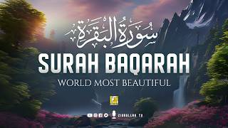 Surah AL BAQARAH Full (سورة البقره) THIS ULTIMATE VOICE WILL TOUCH YOUR HEART | Zikrullah TV