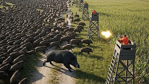 Texas Farmer Hunts Down 99 Wild Boars – A Horrifying Daytime Hunt | Hog Hunting | Boar Hunting
