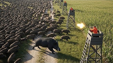 Texas Farmer Hunts Down 99 Wild Boars – A Horrifying Daytime Hunt | Hog Hunting | Boar Hunting