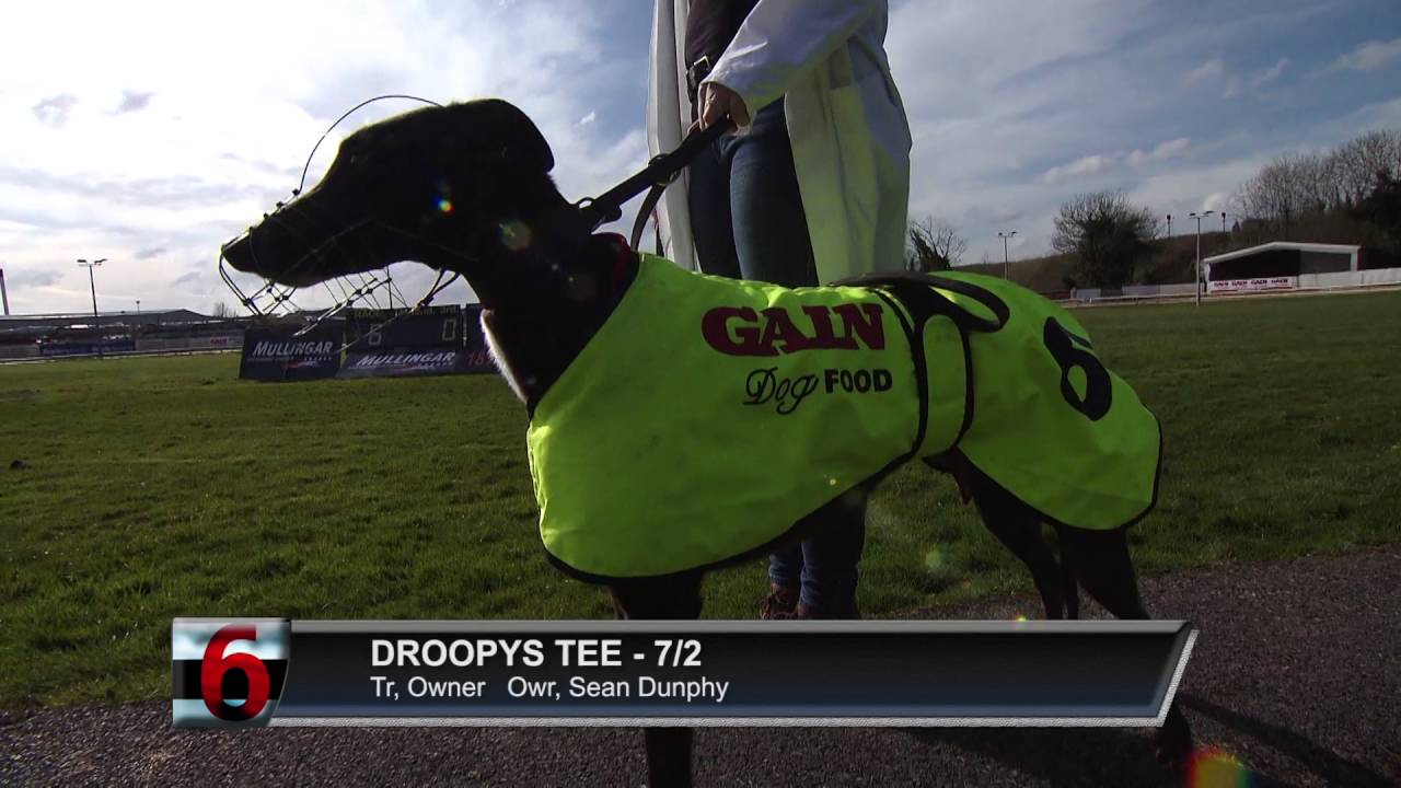 2016 Gain Dog Food Irish Cesarewitch Final YouTube