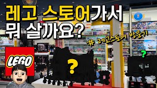 레고스토어 가서 뭐살까요? | 라연의 레고스토어 방문기 | 레고스토어 강남점 | 레고 신제품 | 중세 | 해적 | 캐슬 | 테크닉 | 동물의숲 | 백설공주