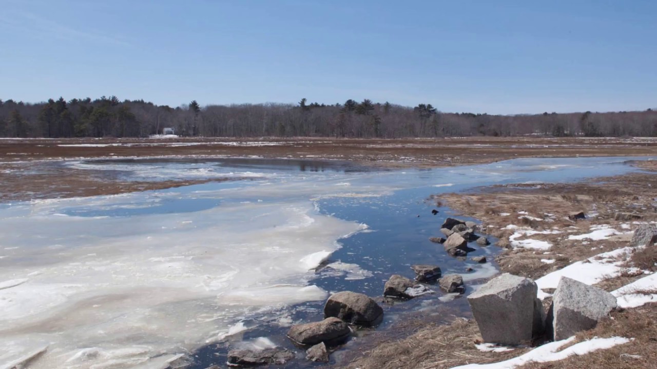 Maine Real Estate 106 Hills Beach Road, Biddeford, ME YouTube