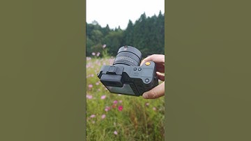 Medium Format Close-Up | Hasselblad X2D II 100C Detail Shot