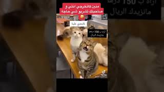 ملي كتخرجي انت و صاحبتك تشريو شي حاجة