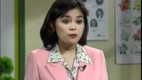 process approach to writing prt 1 4