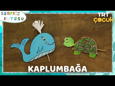 SÜRPRİZ KUTUSU | KAPLUMBAĞA | TRT ÇOCUK