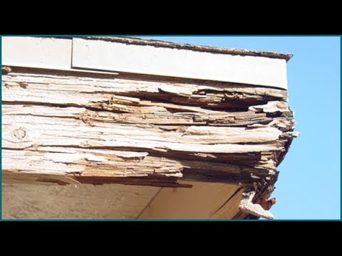 Repairing Rotten Fascia On A House | THE HANDYMAN