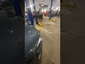 Luxurious Audis