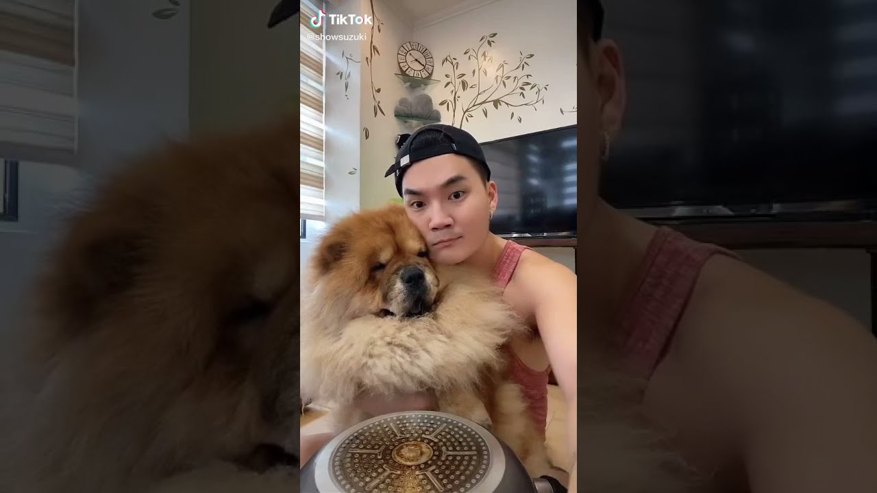 Show Suzuki new tiktok video with Gonta🥰
