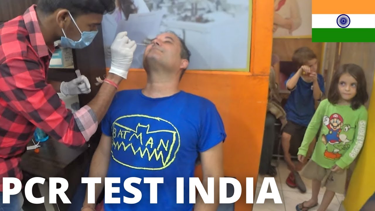 WE WANTED TO GET A PCR TEST IN INDIA YouTube
