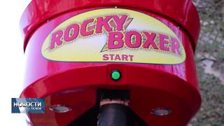 картинка: Новости 09.04.2018 # Псковский Rocky Boxer почти не приносит дохода владельцу