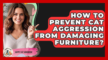 How To Prevent Cat Aggression From Damaging Furniture? - Happy Cat Handbook