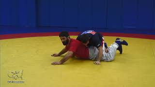 Level 2 - Freestyle Core Curriculum - Par Terre Defense   Defending the Gut Wrench