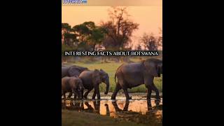 Interesting Facts About Botswana🇧🇼 #Africa #Botswana #GoodMonday