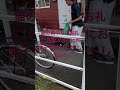 いつも猫ちゃんの餌やりをありがとう　#short #shorts #国際交流　#ねこ
